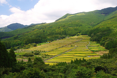 坂元棚田